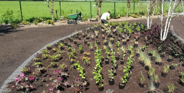 Tuinaanleg door hoveniersbedrijf TuinID Bremer in Beilen