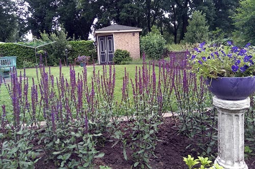 Voor tuinaanleg in Zuidwolde staat Tuin ID Bremer voor je klaar